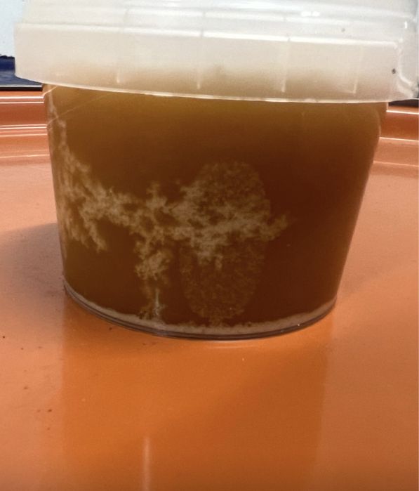 Miód pszczeli wiaderka,ule,roje,rodziny pszczele,pasieka,pszczoły