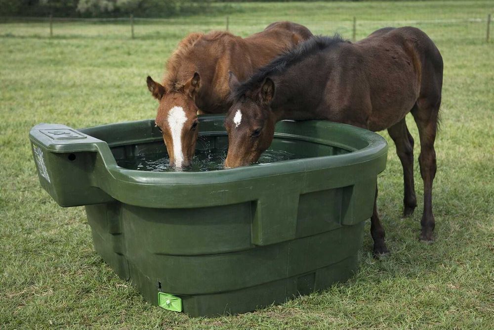 Poidło pastwiskowe wannowe pływakowe dla bydła koni WZMOCNIONE 550 l