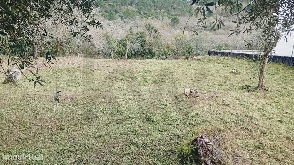 Terreno Urbano na Encosta do Sol – Vila de Soure