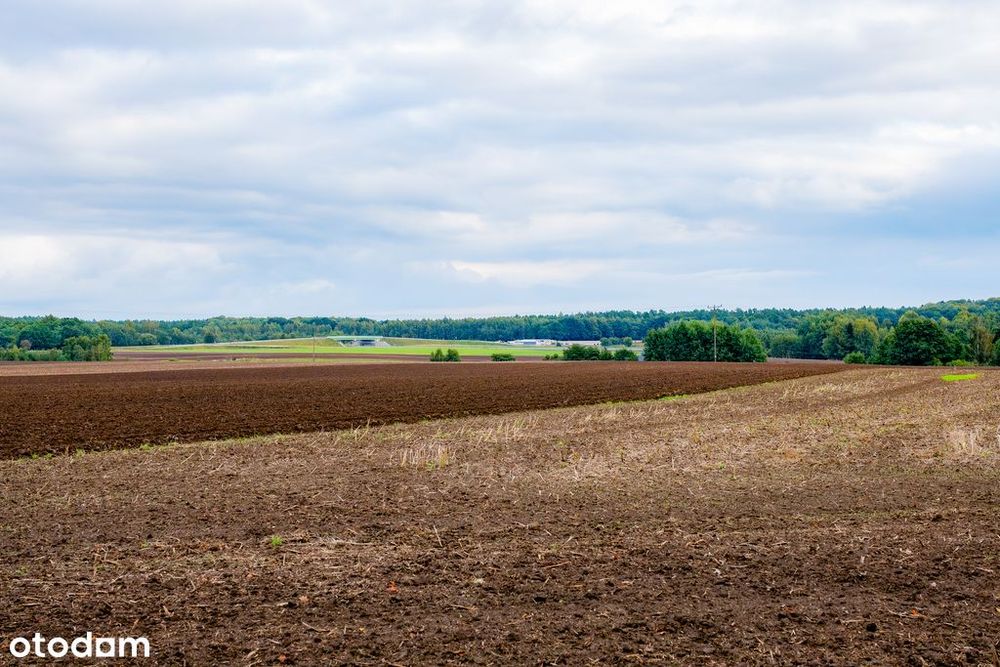 Działka z potencjałem – Sławno | Bobrowiczki