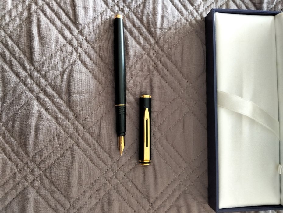Caneta de tinta permanente Waterman