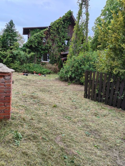 Czyszczenie karczowanie mulczowanie