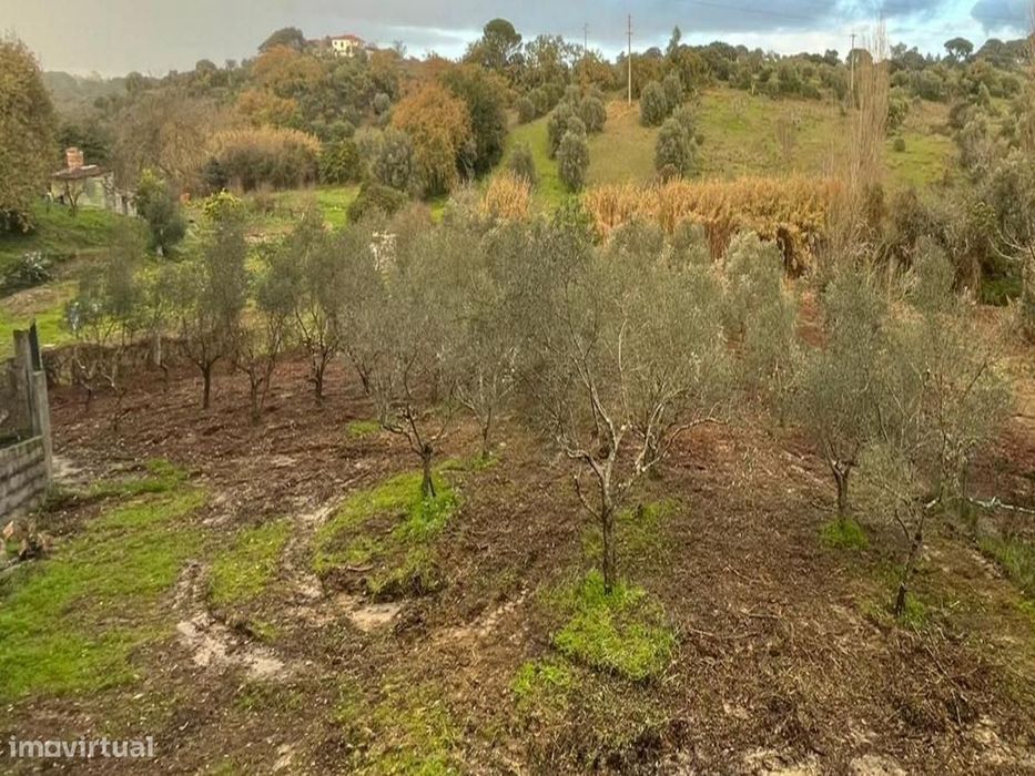 O Seu Refúgio de Sonho com Riacho e Olival a 15min de Torres Novas