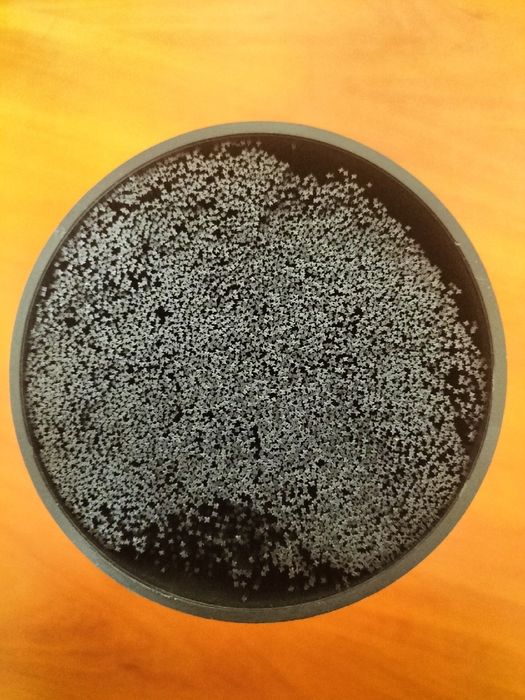 Blok na noże CHEERHOM,bez noży