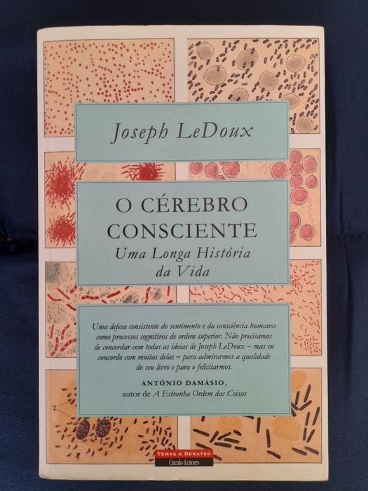 O cerebro consciente