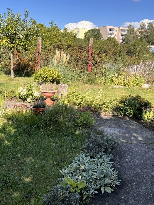 Działka ROD Piast Szczecin