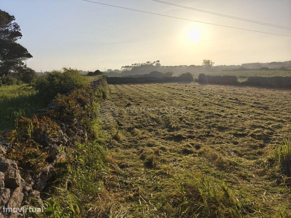 Terreno Rústico com 1.280 m² em Zona Tranquila e de Fácil Acesso