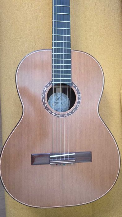 Viola de Fado Santos Silva