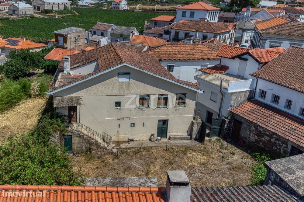 Moradia c/9 divisões, vinha e armazém em Lugar de São Gonçalo, Fava...