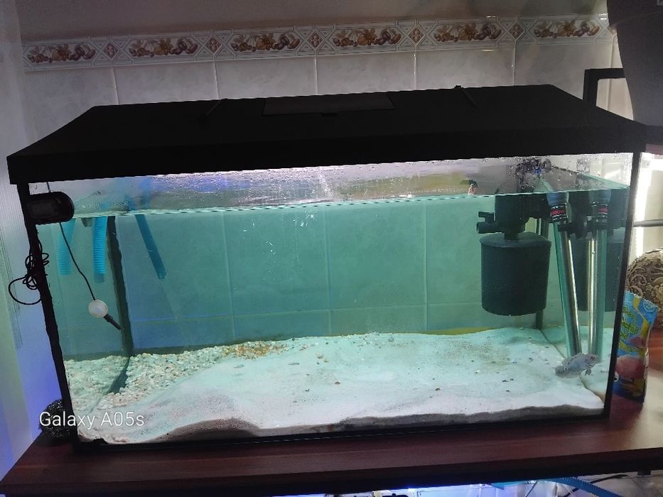 Aquario 110 litros