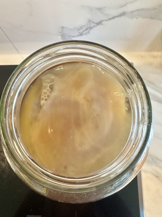 Kombucha | grzyb herbaciany