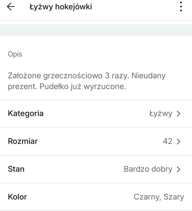 Łyżwy hokejowe 42