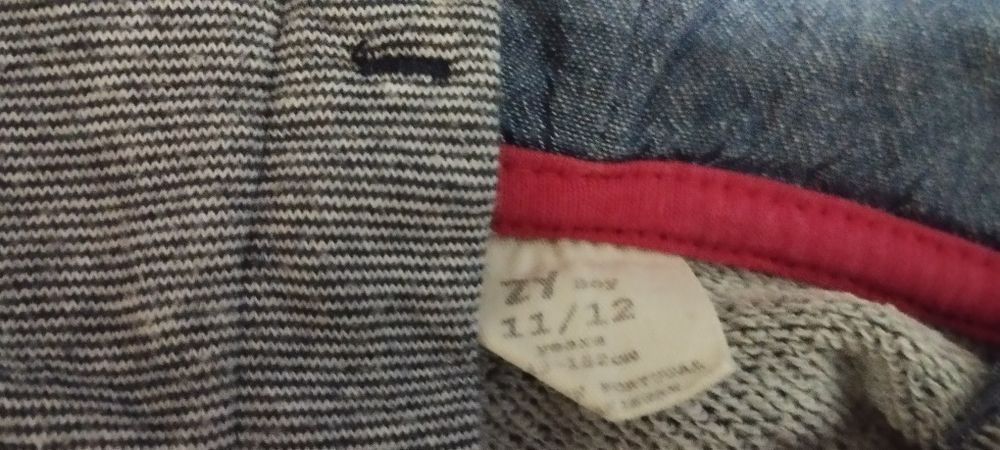 Fato treino da Zippy