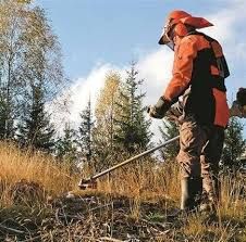 Eu faço Trabalhos de limpeza matos e terrenos agrícola