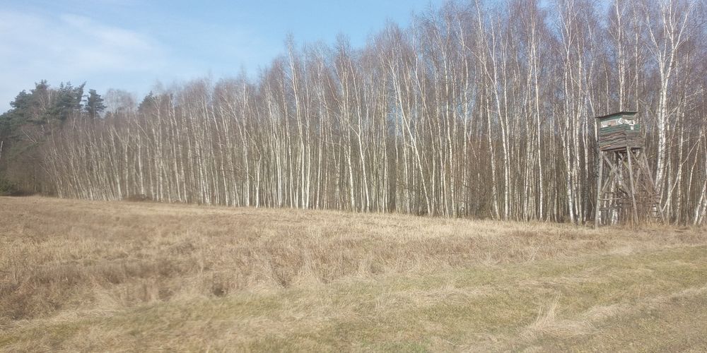 3 działki rolne 4,8 ha góra Sarnik - Widok 2