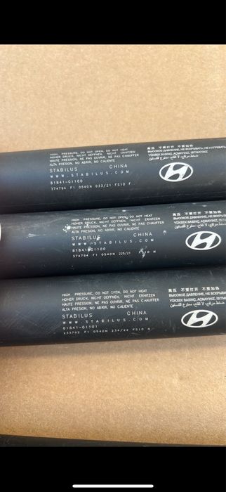 Амортизатори Упори кришки багажника Ioniq 5 EV6