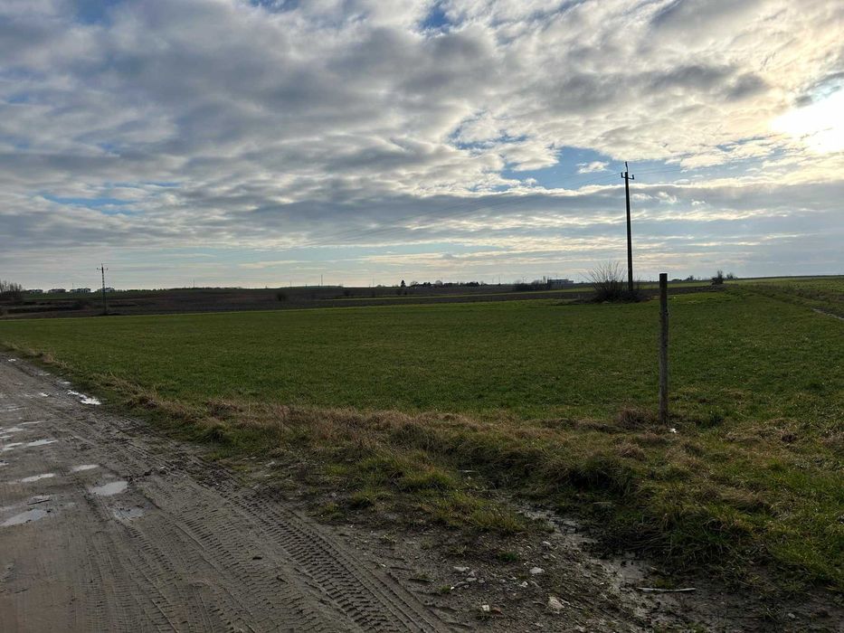 Działka rolna Chłapowo - Widok 5