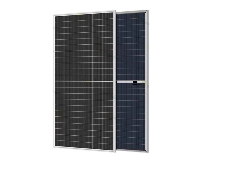 LONGI 615 Bifacial