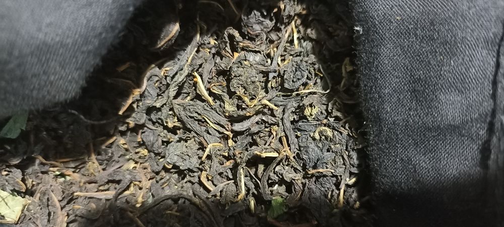 Іван чай ,Копорський чай ,Иван - чай саженцы