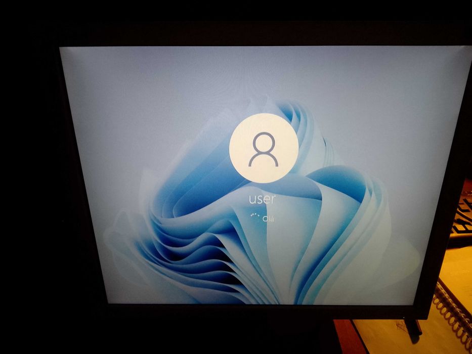 Monitor LG Flatron L1919S-SF (19") para PC, usado