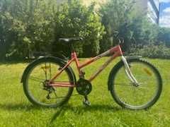 Rower dziecięcy Grand valley