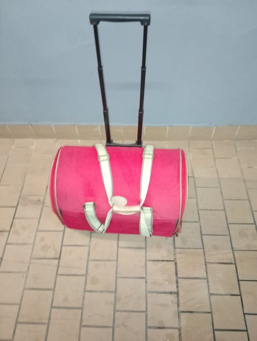 Transportadora de animais domésticos