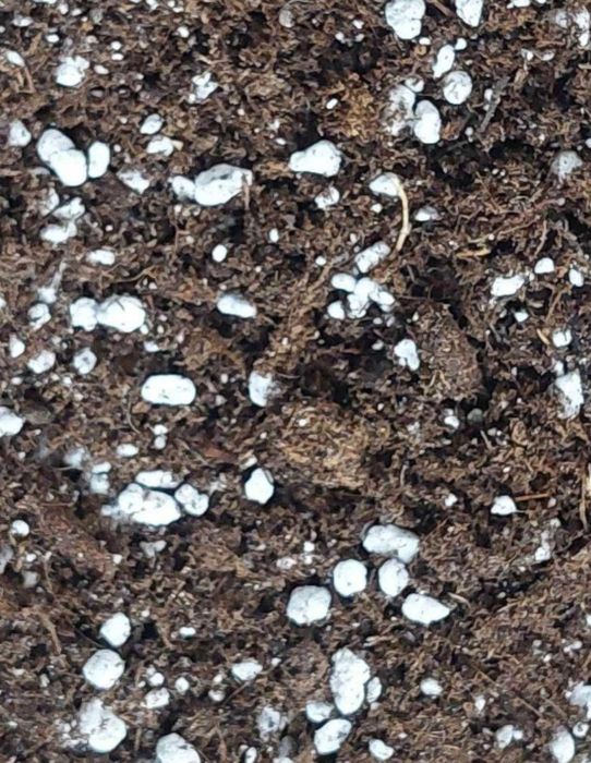 Substrato / Terra. Mix especial super completo plantas/cactus delicado