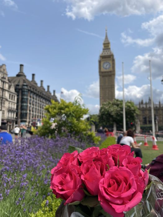 Репетитор англійської мови
