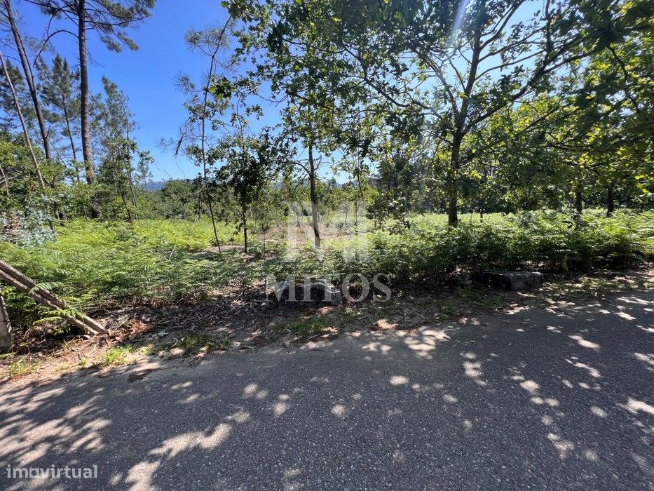 Land for Construction in São Pedro da Torre - Valença