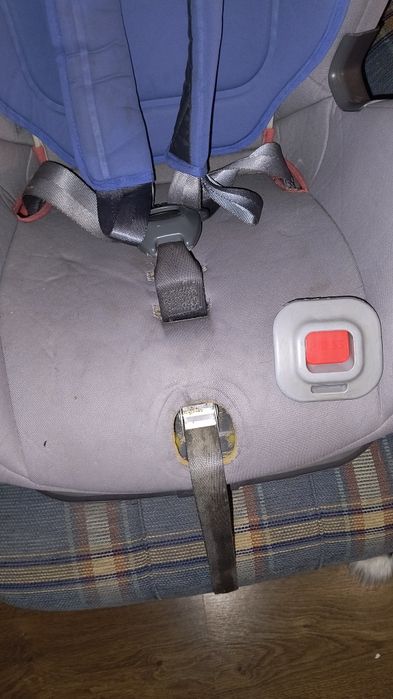 Fotelik Avionaut Glider 9-15, 15-25kg