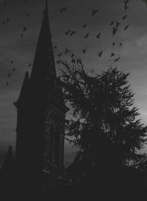 Ищу клавишника / клавишницу в Gothic rock проект