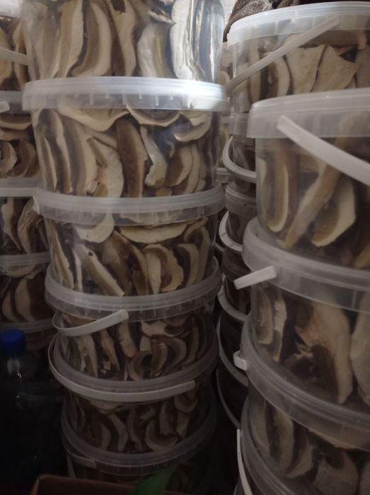 Гриби білі грибы белые 25 року сушеные без песка Закарпаття