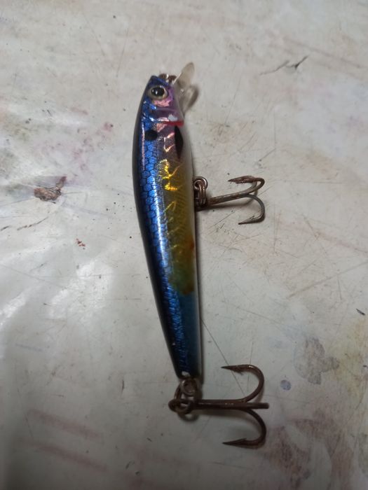 Amostras de pesca ao achiga