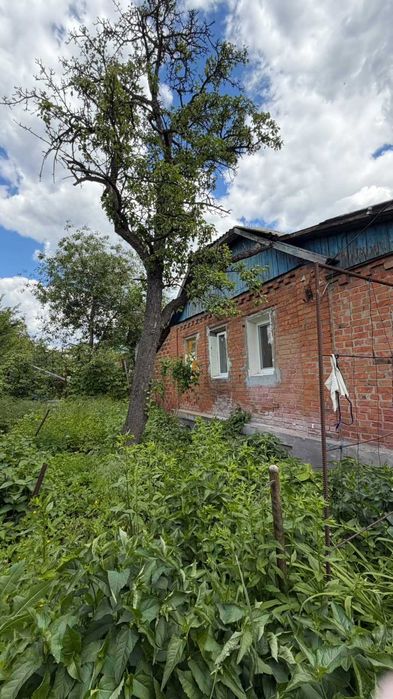 Продам крепкий дом в центре с. Буды (ул. Сковороды)