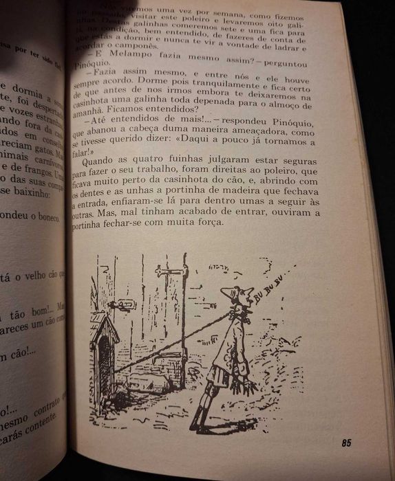 Livros de bolso Clássicos Literatura Mundial Juvenil