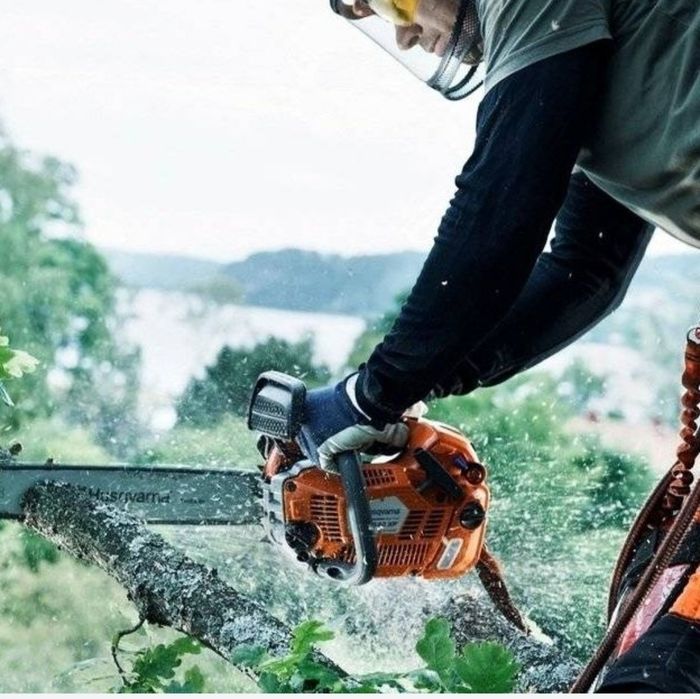 Спил деревьев веток с вывозом