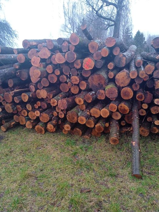 Buk w wałkach kominkowe