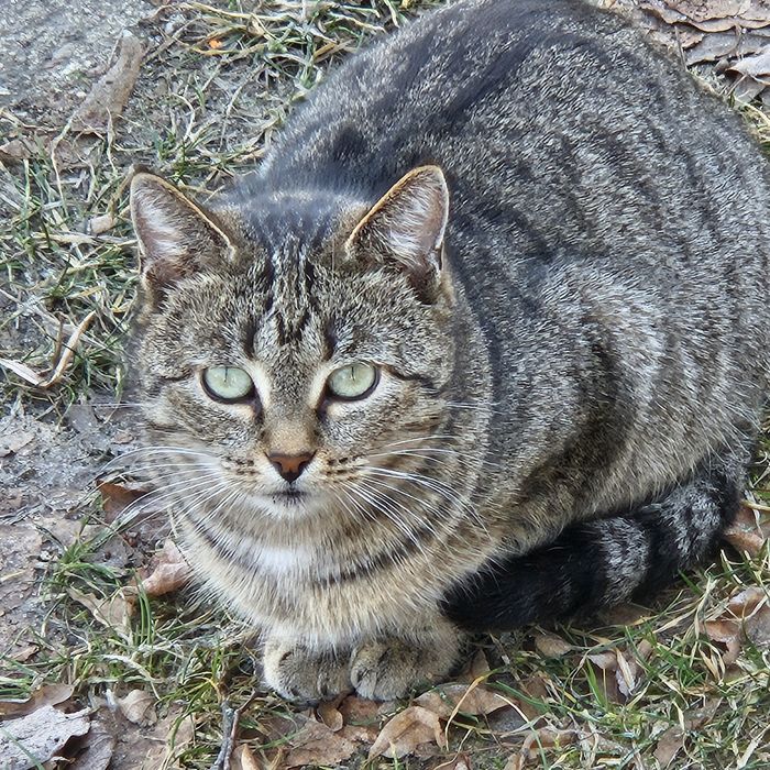 Wspólny dom poszukiwany.