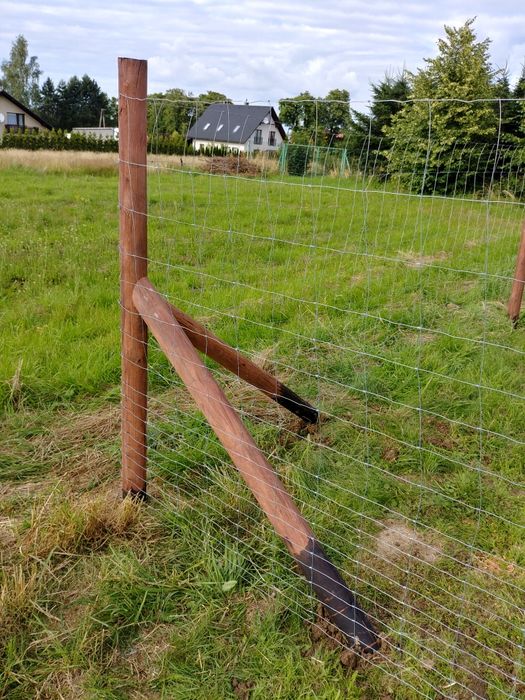 Ogrodzenie tymczasowe z siatki leśnej