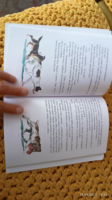 Sprzedam książkę pt. Puc, bursztyn i goście