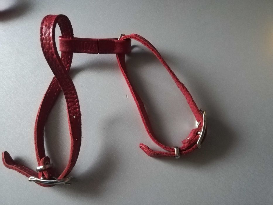 Шкіряна маєчка для маленьких собак до 2кг500гр