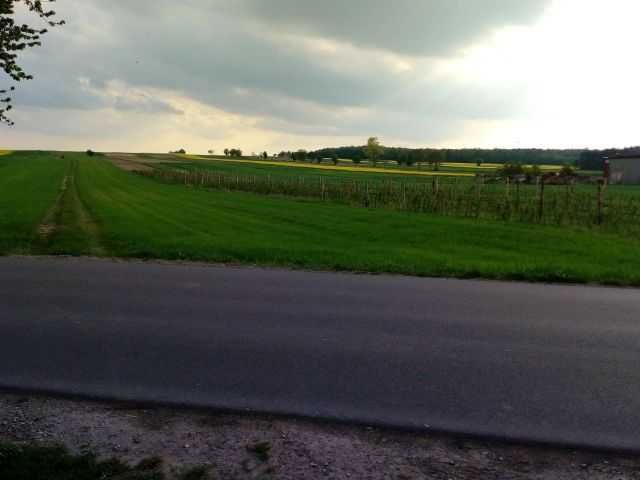 Działka 2,40 ha w Kępa Borzechowska gmina Borzechów.