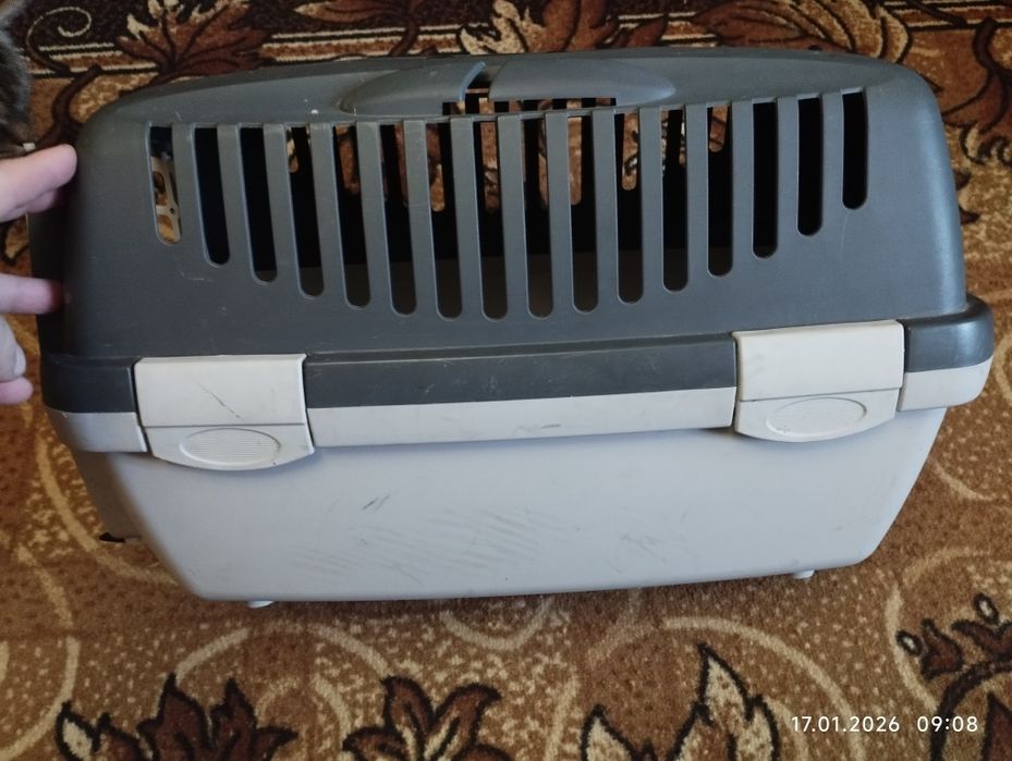 Перенооска для кота