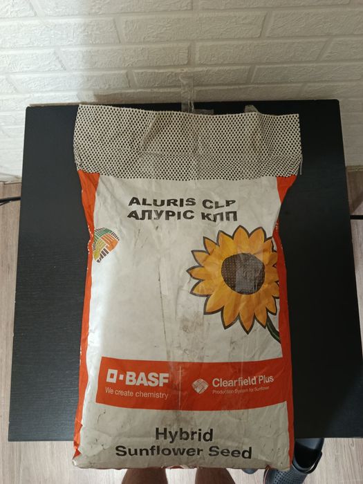 Алуріс насіння соняшнику під євролайтінг плюс