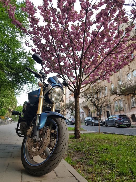 Мотоцикл Honda CB600 F5 Hornet 2005 року
