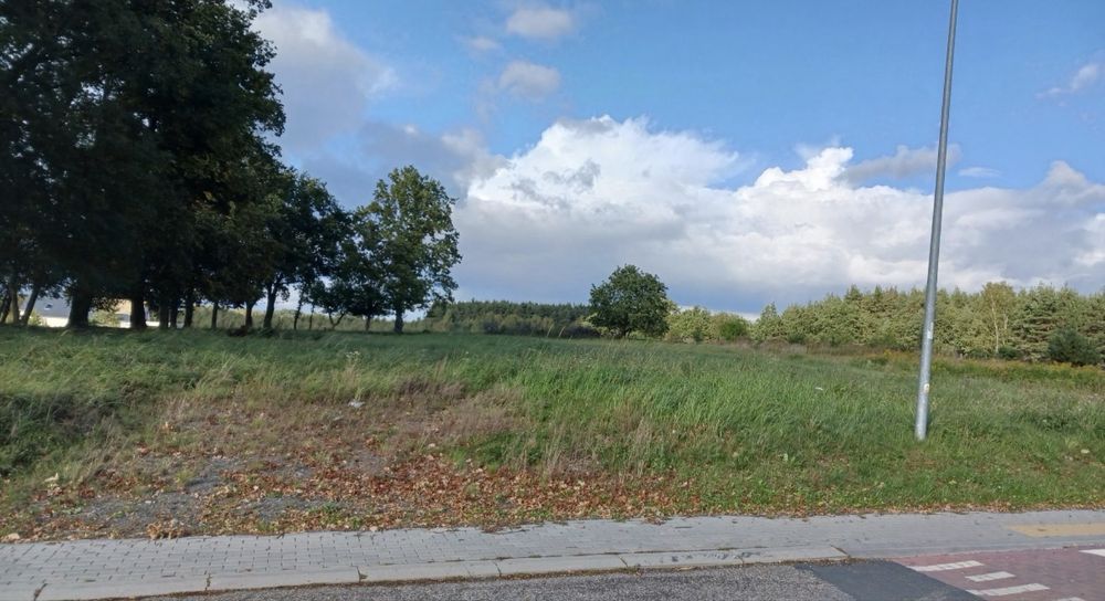 Piękna działka 25 arów, Polkowice 3 km