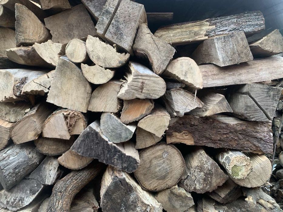 Дрова різних порід
