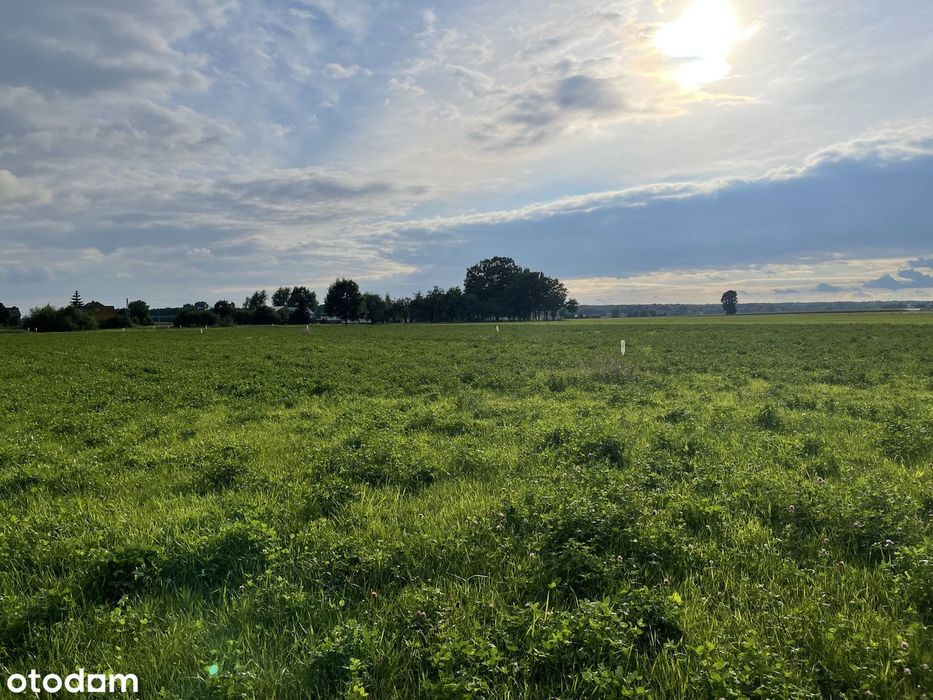 Budowlane-MPZP. Na nowo powstającym osiedlu. 5,9km od węzła S17 Górzno - Widok 2