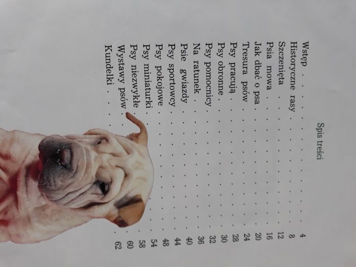 Psy. Dziecięca Biblioteka Przyrody