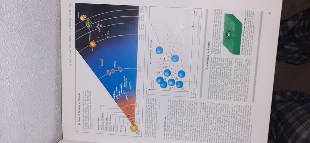 Livro AVENTURA DA VIDA 310 Paginas livro grande Entrego em Alfragide